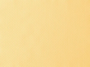 Placemat Papier Champagne 30x40cm 4x250 st